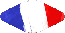 Bandiere Francia Nazionale Ovale 