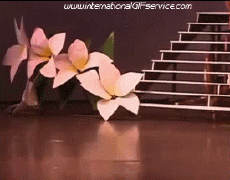 Humour - Fun PERSONNAGES Dans l escalier Gamelles Fail Serie 01 