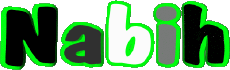 First Names MASCULINE - Maghreb Muslim N Nabih 