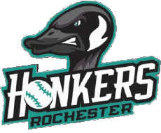 Deportes Béisbol U.S.A - Northwoods League Rochester Honkers 