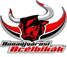 Sportivo Hockey - Clubs Ungheria Dunaújvárosi Acélbikák 