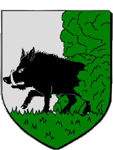 Wappen-Fahnen Frankreich Abteilungen - Städte 49 BAUGE 