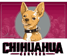 Getränke Bier Mexiko Chihuahua-Cerveza 