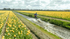 Humor - Fun Deportes Kite Surf Fun Win 