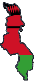 Bandiere Africa Malawi Carta Geografica 