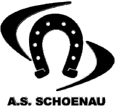 Sports Soccer Club France Grand Est 67 - Bas-Rhin AS Schoenau 