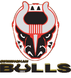 Sportivo Hockey - Clubs U.S.A - S P H L Birmingham Bulls 