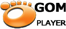 Multimedia Computadora - Software GOM Player 
