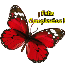 Mensajes Español Feliz Cumpleaños Mariposas Fondo transparente 004 