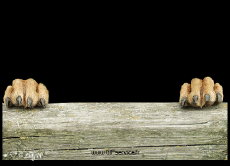 Humor -  Fun Animals Dogs 03 