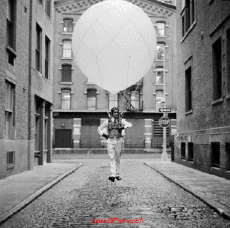 Umorismo -  Fun Effetti 3d Stéreoscopique Wiggle avec Matrice 