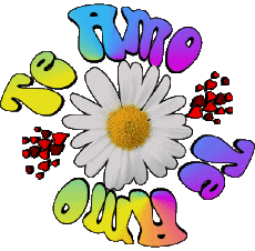 Messages Spanish Te Amo 04 