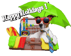 Messages Anglais Happy Holidays Fond Transparent 11 