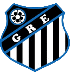 Sports Soccer Club America Logo Brazil Rondônia Grêmio Recreativo e Esportivo 