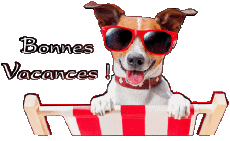 Mensajes Francés Bonnes Vacances Fondo transparente 03 