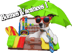 Nachrichten Französisch Bonnes Vacances Transparenter Hintergrund 11 