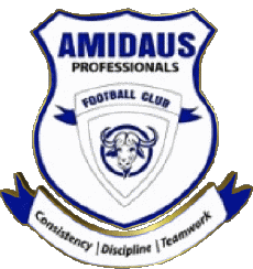 Sports FootBall Club Afrique Ghana Amidaus Professionals F.C 