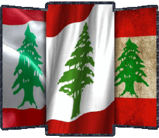 Drapeaux Asie Liban Forme 