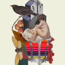 Humor -  Fun GIF Künstler Isabel Chiara 