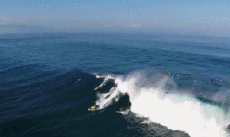 Umorismo -  Fun Sportivo Paddle Fun Win 