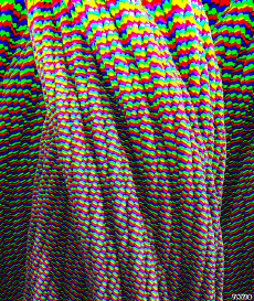 Humor -  Fun GIF Artists Bill Tavis 