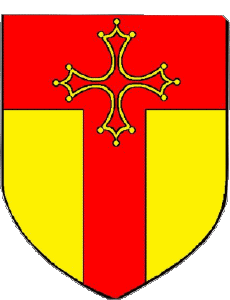 Bandiere Francia Dipartimenti - Città 81 Tarn 