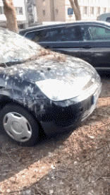 Humor -  Fun Transport Autos Accident  Fail 02 