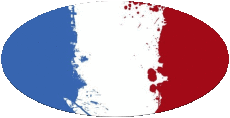 Bandiere Francia Nazionale Ovale 