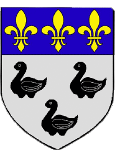 Fahnen Frankreich Abteilungen - Städte 02 LAON 