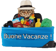 Messagi Italiano Buone Vacanze Sfondo trasparente 12 