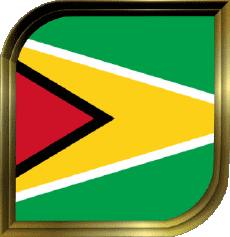Flags America Guyana Square 