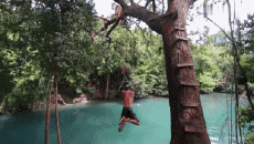 Humor -  Fun PEOPLE Like Tarzan Fail 