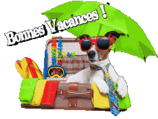 Mensajes Francés Bonnes Vacances Fondo transparente 11 