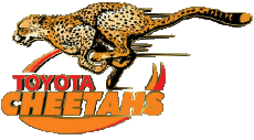 Sport Rugby - Clubs - Logo Südafrika Cheetahs 