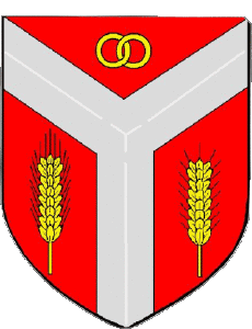 Banderas Francia Departamentos - Ciudades 12 BARAQUEVILLE 