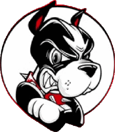 Deportes N C A A - D1 (National Collegiate Athletic Association) B Boston University Terriers 