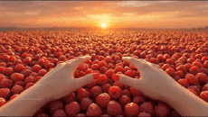 Humor - Fun A.I Mezcla Océano de ensueño 