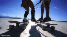 Humor -  Fun Sports Skateboard Free Style Fun - Win 02 