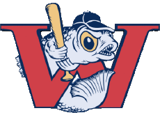 Deportes Béisbol U.S.A - A A B Winnipeg Goldeyes 