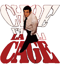 Multimedia Filme Frankreich Lino Ventura La Cage 