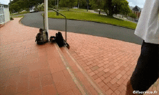 Umorismo -  Fun Sportivo Skateboard Free Style Fun - Win 01 