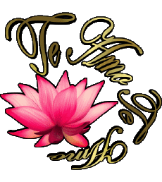 Messagi Spagnolo Te Amo 03 