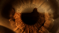 Multimedia Canali - TV Francia Ushuaïa TV Jingle Pub 