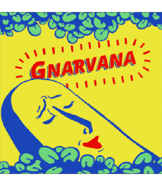 Gnarvana-Boissons Bières USA Gnarly Barley 