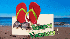 Messagi Francese Bonnes Vacances Sfondo animato 003 