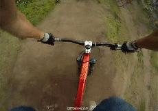 Humor -  Fun Sports Mountain biking Fun - Win 