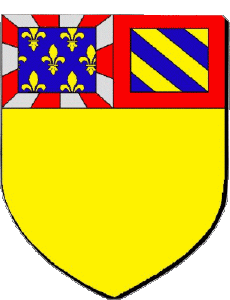 Banderas Francia Departamentos - Ciudades 21 Cote d Or 