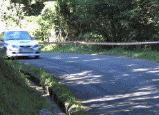 Humor - Fun Transporte Coches Accidente de rally fallido 