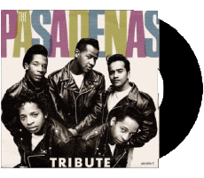 Multi Media Music 80' International Compilation T The Pasadenas 