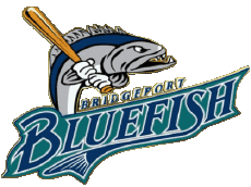 Sport Baseball U.S.A - ALPB - Atlantic League Bridgeport Bluefish 